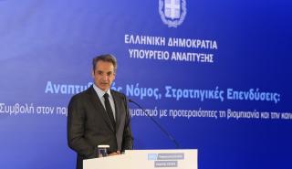 Μητσοτάκης: Μέσα στις επόμενες 15 μέρες οι ανακοινώσεις για το βιομηχανικό ρεύμα