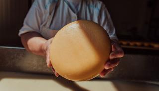 Αναστέλλουν τη λειτουργία τους οι τυροκομικές μονάδες της Λέσβου