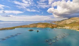 Προκαταρκτική συμφωνία Cooke - Avramar Ελλάδας