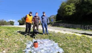 Ποιοι σκοτώνουν την πανίδα στον Γράμμο και την Δαδιά του Έβρου;