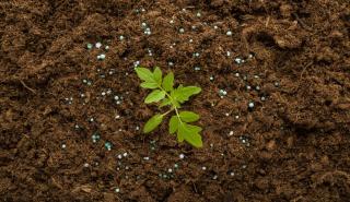 Σύνδεσμος Παραγωγών και Εμπόρων Λιπασμάτων (ΣΠΕΛ): Θετικοί οιωνοί για την καλλιεργητική περίοδο