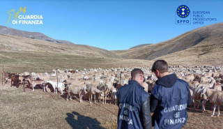 Τι γυρεύει η κα Κοβέσι στον Ευρωπαϊκό Νότο;