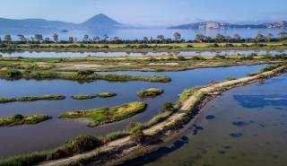 Messinia Challenge 2026