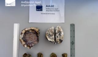 ΑΑΔΕ: Σύλληψη 2 Ολλανδών για κλοπή απολιθωμάτων από το δάσος της Λέσβου