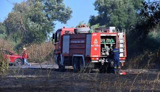 Σε ύφεση η πυρκαγιά σε δασική έκταση στο Ακραίφνιο Βοιωτίας