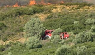Ναύπακτος: Φωτιά στην Κάτω Μαμουλάδα