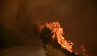 Μπαράζ 112 στην Αττική - Σε πύρινο κλοιό Αργολίδα, Βοιωτία, Κρήτη, Άρτα