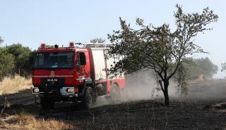 Πυρκαγιές: Μάχη με τις φλόγες στη Βοιωτία - Σε Θήβα και Ξηρονομή τα μέτωπα