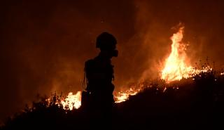 Δύσκολη μάχη στη Βοιωτία για την πυροσβεστική