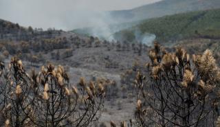 Ισπανία - πυρκαγιές: Αίρεται η κατάσταση έκτακτης ανάγκης