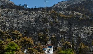 Πυρόπληκτοι: Τα σημεία - κλειδιά για να μη χαθούν οι ενισχύσεις