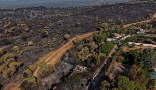 Ισπανία: Πύρινος εφιάλτης σε Βαλένθια και Ανδαλουσία - Χιλιάδες στρέμματα στις φλόγες