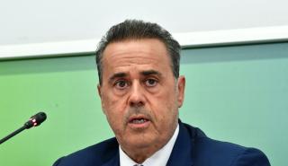 Παπασταύρου για ιδιωτικά δίκτυα ενέργειας: Τον Σεπτέμβριο οι ανακοινώσεις για αυστηροποίηση του πλαισίου