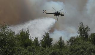 Φωτιές στην Αττική: Στάχτη 700.000 στρέμματα μέσα σε 9 χρόνια - Τα στοιχεία του Εθνικού Αστεροσκοπείου Αθηνών