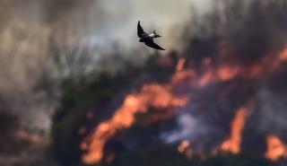 ΟΗΕ: Οι δασικές πυρκαγιές και οι καύσωνες απειλούν την ποιότητα του αέρα και την υγεία των ανθρώπων