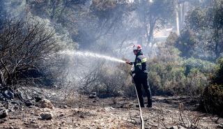 Ρέθυμνο: Ξεκινούν οι αιτήσεις για αποζημιώσεις πυρόπληκτων επιχειρήσεων - Έως 1/10