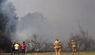 Χαλκιδική: Ξεκίνησε η υποβολή αιτήσεων κρατικής αρωγής σε πυρόπληκτες επιχειρήσεις