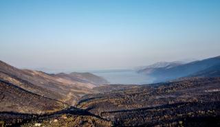 Δυτική Αττική: Τι θα γίνει με τα 113.000 καμένα στρέμματα πριν από τις πρώτες βροχές
