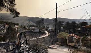 Έκτακτα μέτρα στήριξης από τις τράπεζες για πυρόπληκτες οικογένειες και επιχειρήσεις