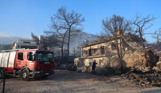 Κατσαφάδος: Ξεκινούν αύριο οι αυτοψίες για την καταγραφή των ζημιών από τις πυρκαγιές στη Σαλαμίνα