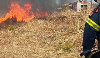 Χωρίς ενεργά μέτωπα οι πυρκαγιές στη Νέα Μηχανιώνα και στον Ξηροπόταμο Σαμοθράκης