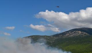 ΠΣ: Δύο συλλήψεις για την πυρκαγιά στο Πόρτο Γερμενό