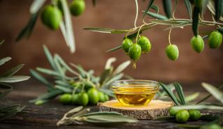 Φθηνότερο λάδι, ακριβότερο τραπέζι