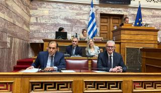 Τουρνάς: «Ο πολίτης θέλει να γνωρίζει πότε θα λάβει την αρωγή και θα επιστρέψει στην κανονικότητα»