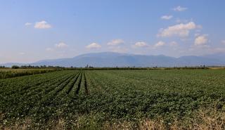 Στα 263,5 εκατ. ευρώ ο προϋπολογισμός των Σχεδίων Βελτίωσης για γεωργικές εκμεταλλεύσεις
