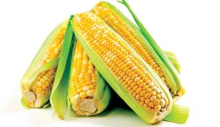 Προσφορά τροφίμων σε άπορες οικογένειες στη Ροδόπη