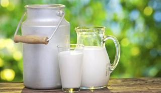 Ελλάδα: Δεύτερη ακριβότερη τιμή στο φρέσκο πλήρες γάλα στην ΕΕ