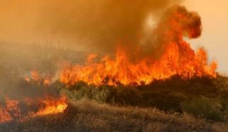 Φωτιά περιμετρικά της πόλης του Βόλου