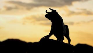 «Η bull market θα συνεχιστεί και το 2017»