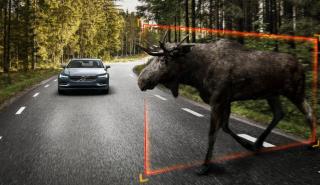 H Volvo αποτελεί πρότυπο για τους φιλόζωους