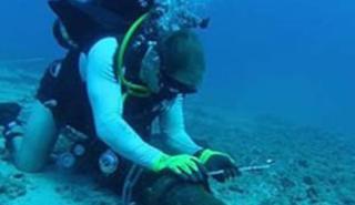 Φινλανδία: Ερευνά μια διακοπή σε μια υποθαλάσσια γραμμή ενέργειας προς την Εσθονία