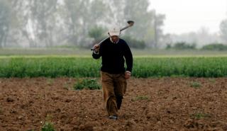 Πόσο εύκολο ή δύσκολο είναι να γίνει κανείς αγρότης;