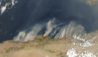 Αλγερία: 25 άνδρες του στρατού έχασαν τη ζωή τους στις πυρκαγιές στον βορρά