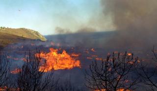 Περίπου 46.000 στρέμματα κάηκαν στην Κύπρο
