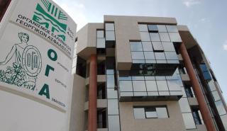 ΟΓΑ: Παράταση έως 29 Ιουλίου για την καταβολή εισφορών