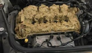 Μια κυρία βάζει... πλυστικό υγρό μέσα στον κινητήρα!