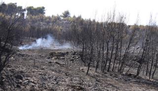 Από σήμερα οι αποζημιώσεις της Αρωγής για τις πυρκαγιές του Ιουλίου