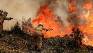 Πορτογαλία: Εννιά τραυματίες στις δασικές πυρκαγιές