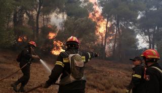 Πολύ υψηλός κίνδυνος πυρκαγιάς το Σάββατο σε τρεις περιφέρειες