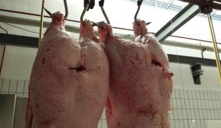 Κίνα: «Αγοράζει» χοιρινό κρέας για την αναπλήρωση των αποθεμάτων