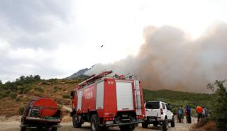 Οριοθετήθηκε η πυρκαγιά στην Ανάβυσσο - Κλειστή η λεωφόρος Λαυρίου