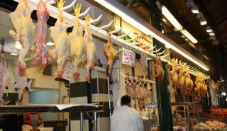 Πτήση χωρίς αναταράξεις για τη τιμή της γαλοπούλας