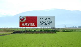 Η Αθηναϊκή Ζυθοποιία στηρίζει την ελληνική παραγωγή κριθαριού