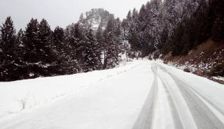 Χιονίζει και πάλι στον Βόλο και στο Πήλιο, ανοιχτοί οι δρόμοι αλλά με αλυσίδες -Πολικό ψύχος στα βόρεια