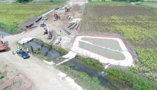 Ο TAP συμβάλει στην προστασία της χλωρίδας και της πανίδας