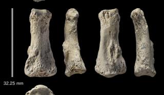 Ανακαλύφθηκε απολίθωμα του Homo sapiens ηλικίας 90.000 ετών